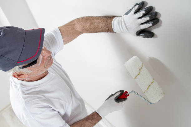 Best Post-Construction Mold Inspection  in Harrington Park, NJ