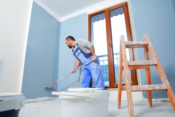 Best Emergency Mold Remediation  in Harrington Park, NJ