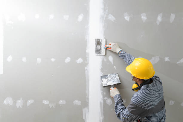 Best Mold Remediation for Healthcare Facilities  in Harrington Park, NJ